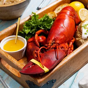 🦞 1820g+ North Atlantic Live Lobster