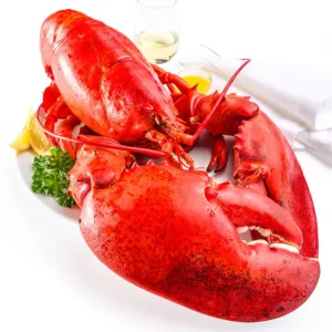 🦞 North Atlantic Live Lobster – Premium Quality, 4530g+ | Sourced from the Cold Waters of the North Atlantic