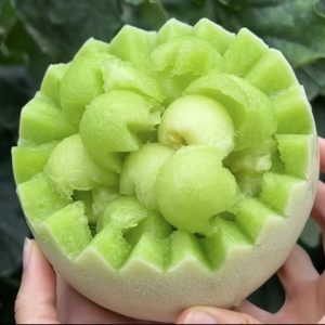 Ice Cream Melon