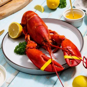 🦞 Live Maine Lobster – Fresh, Premium Quality, 680g+ | Sourced from the Cold Waters of Maine