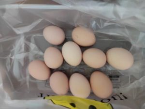 🥚 Premium High-Protein Brown Eggs – Rich Yolk & Smooth Whites | 10 Eggs per Carton (Customizable) – U.S.-Ready Version photo review