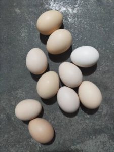 🥚 Premium High-Protein Brown Eggs – Rich Yolk & Smooth Whites | 10 Eggs per Carton (Customizable) – U.S.-Ready Version photo review