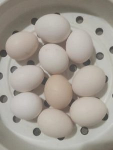 🥚 Premium High-Protein Brown Eggs – Rich Yolk & Smooth Whites | 10 Eggs per Carton (Customizable) – U.S.-Ready Version photo review