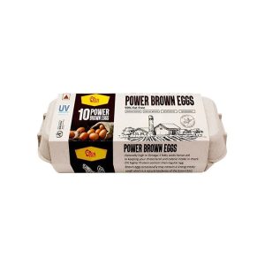 🥚 Premium High-Protein Brown Eggs – Rich Yolk & Smooth Whites | 10 Eggs per Carton (Customizable) – U.S.-Ready Version