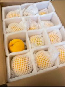 🍑 Premium Dandong Peaches – Juicy, Sweet with a Hint of Tang | 12 Peaches/Box (2100g) – U.S.-Ready Version photo review