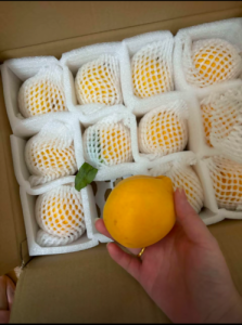 🍑 Premium Dandong Peaches – Juicy, Sweet with a Hint of Tang | 12 Peaches/Box (2100g) – U.S.-Ready Version photo review