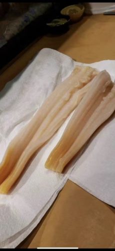 🦪 Chilled Elephant Trunk Clam – Premium, Fresh, and Naturally Sweet | 200g x 6pcs Pack photo review