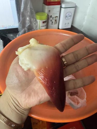 Extra Large Sashimi-Grade Arctic Surf Clam photo review