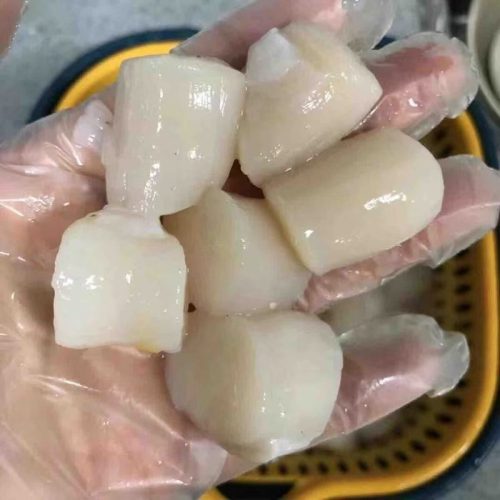Large Dry Dayboat Scallops Pack of 20 photo review