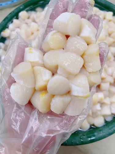 Large Dry Dayboat Scallops Pack of 20 photo review