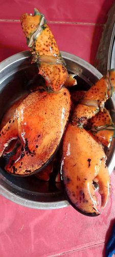 LIMITED EDITION: Giant Deep-Sea Lobster Pincers 🔥 Hurry up! photo review