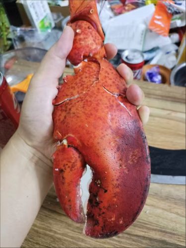 LIMITED EDITION: Giant Deep-Sea Lobster Pincers 🔥 Hurry up! photo review