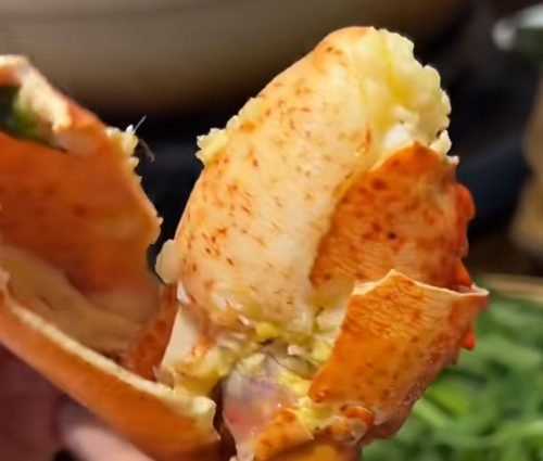 Premium Lobster Cocktail Claws – Ready to Thaw and Serve | MSC-Certified Wild Catch, Nitrogen Flash-Freezing, Zero Antibiotics photo review