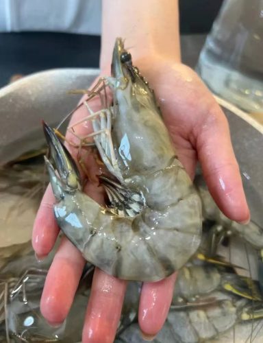 🍤 Extra Large Black Tiger Prawns – Live Frozen, Premium Quality, Sweet & Juicy | Perfect for Seafood Lovers photo review