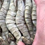 🍤 Extra Large Black Tiger Prawns – Live Frozen, Premium Quality, Sweet & Juicy | Perfect for Seafood Lovers photo review