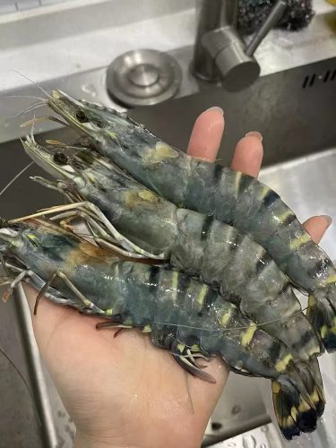 🍤 Extra Large Black Tiger Prawns – Live Frozen, Premium Quality, Sweet & Juicy | Perfect for Seafood Lovers photo review