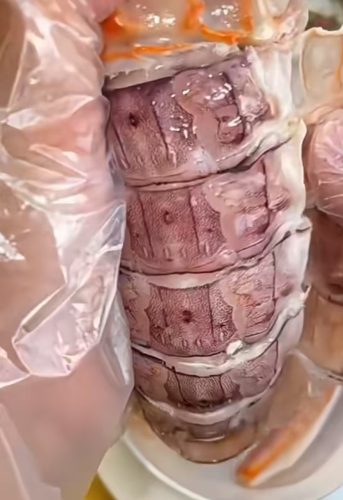 🦐 Jumbo Mantis Shrimp — Live Seafood (Shipped with Oxygen Packs) photo review