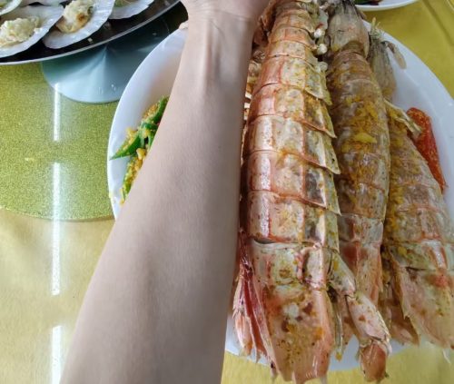 🦐 Jumbo Mantis Shrimp — Live Seafood (Shipped with Oxygen Packs) photo review