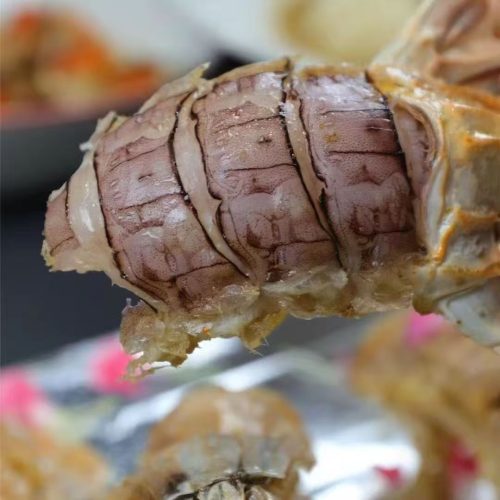 🦐 Jumbo Mantis Shrimp — Live Seafood (Shipped with Oxygen Packs) photo review