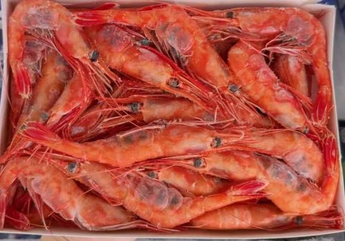 🦐 Jumbo Sweet Prawns – Premium, MSC-Certified Wild Catch | Flash-Frozen, Zero Antibiotics – Available in United States photo review