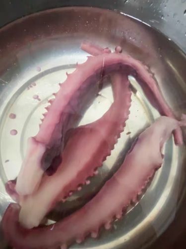 🦑 Crispy Octopus Whiskers – Flavorful, Crunchy, and Irresistible | 300g x 6pcs Pack photo review