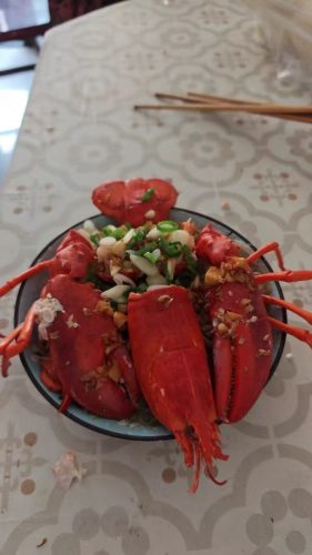 🦞 1820g+ North Atlantic Live Lobster photo review