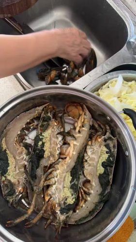 🦞 1820g+ North Atlantic Live Lobster photo review