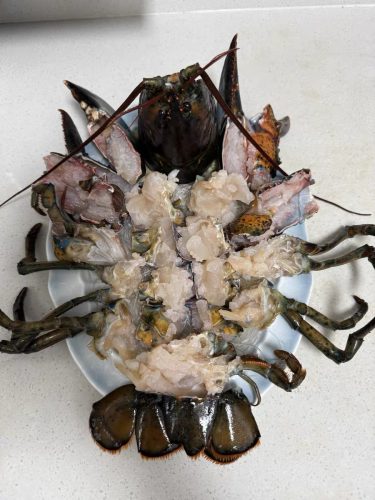 🦞 North Atlantic Live Lobster – Premium Quality, 4530g+ | Sourced from the Cold Waters of the North Atlantic photo review
