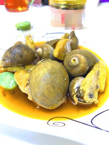 🦪 Sizzling Spicy Abalone Snails – Premium Taste, Fiery Kick | MSC-Certified Wild Catch, Nitrogen Flash-Freezing, Zero Antibiotics – U.S.-Ready Version photo review